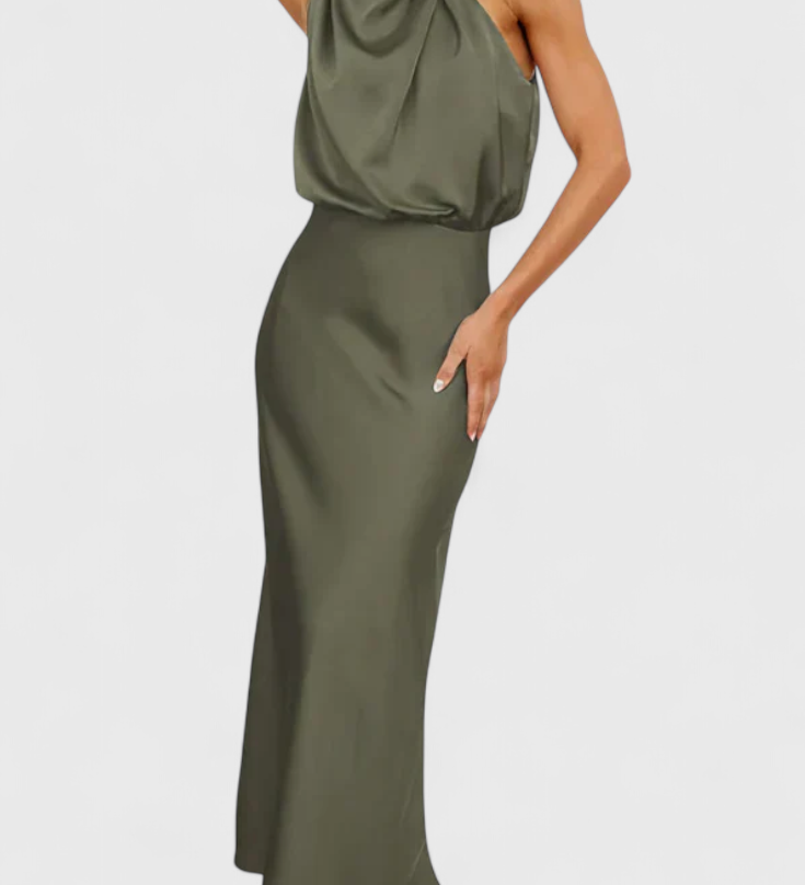 Rina Elegantne Drapeeritud Kaelusega Kleid