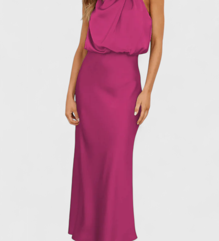 Rina Elegantne Drapeeritud Kaelusega Kleid