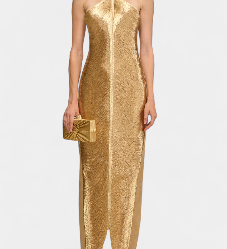 Jianna Metalliliste Fraktsioonide Kleid